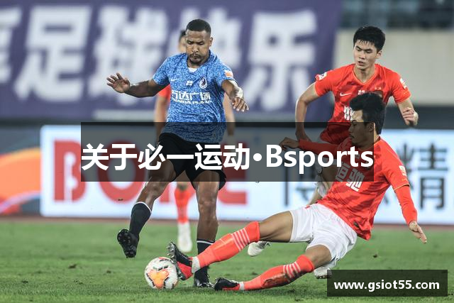 关于必一运动·Bsports